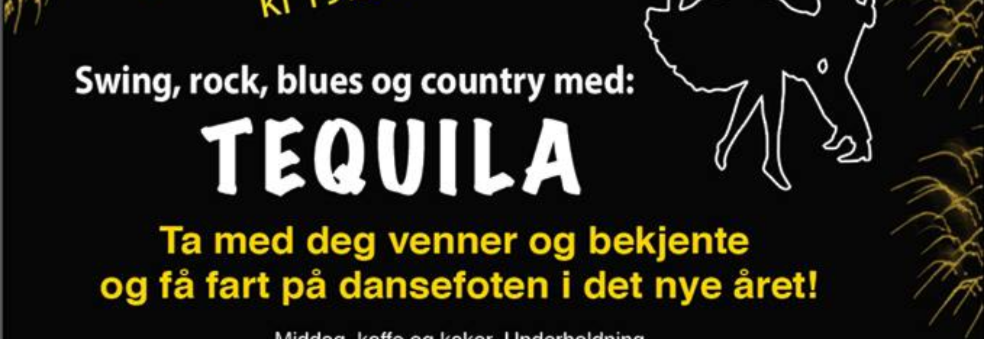 Nyttårsball 2019